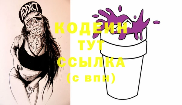 твердый Снежинск