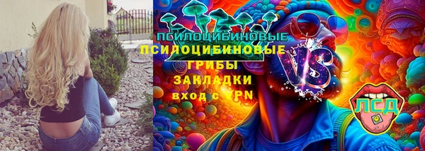 винт Снежногорск