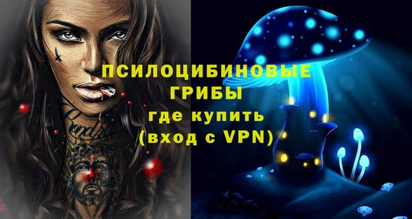a pvp Абаза